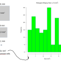 sizesamplehistogram2.png